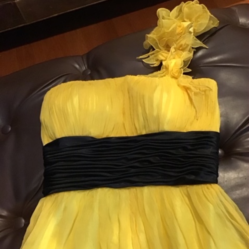 Dress - Picture 2 of 4